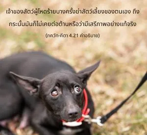 อรรถกถา ภขวัท-คีตา 4 - thumbnail size