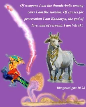 Bhagavad Gita 10.28.en - thumbnail size