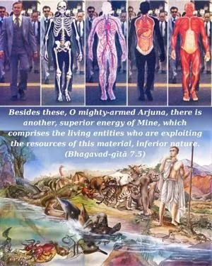 Bhagavad Gita 7.5.en - thumbnail size