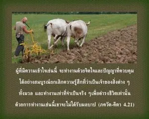 ภขวัท-คีตา 4.21 - thumbnail size