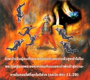ภขวัท-คีตา 11.29 - thumbnail size