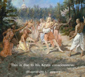 Purport to Bhagavad Gita 5 - thumbnail size
