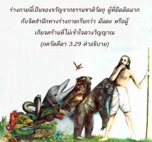 อรรถกถา ภขวัท-คีตา 3 - thumbnail size