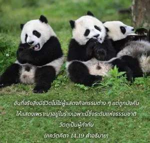 อรรถกถา ภขวัท-คีตา 14 - thumbnail size