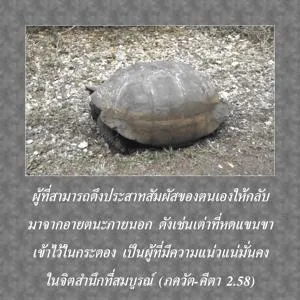 ภขวัท-คีตา 2.58 - thumbnail size