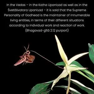 Purport to Bhagavad Gita 2 - thumbnail size