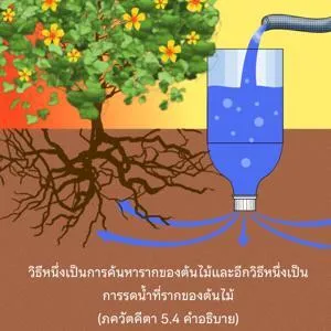 อรรถกถา ภขวัท-คีตา 5 - thumbnail size