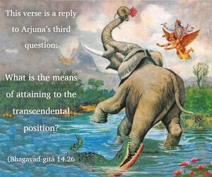 Purport to Bhagavad Gita 14 - thumbnail size