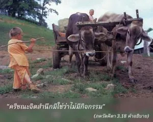 อรรถกถา ภขวัท-คีตา 3 - thumbnail size