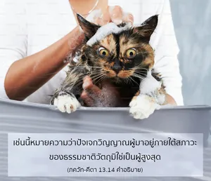อรรถกถา ภขวัท-คีตา 13 - thumbnail size