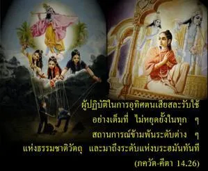 ภขวัท-คีตา 14.26 - thumbnail size