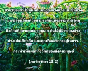 ภขวัท-คีตา 15.2 - thumbnail size
