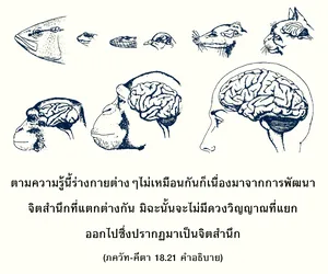 อรรถกถา ภขวัท-คีตา 18 - thumbnail size