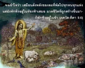 ภขวัท-คีตา 9.6 - thumbnail size