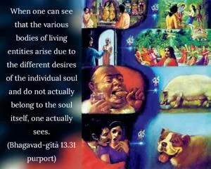 Purport to Bhagavad Gita 13 - thumbnail size