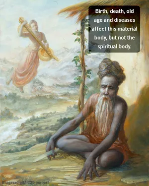 Purport to Bhagavad Gita 7 - thumbnail size
