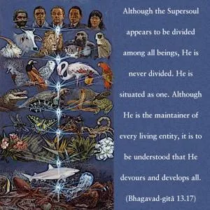 Bhagavad Gita 13.17.en - thumbnail size