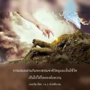 อรรถกถา ภขวัท-คีตา 14 - thumbnail size