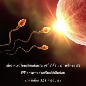 อรรถกถา ภขวัท-คีตา 3 - thumbnail size