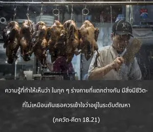 ภขวัท-คีตา 18.21 - thumbnail size
