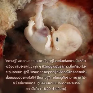 อรรถกถา ภขวัท-คีตา 18 - thumbnail size