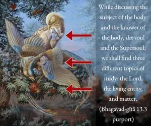 Purport to Bhagavad Gita 13 - thumbnail size