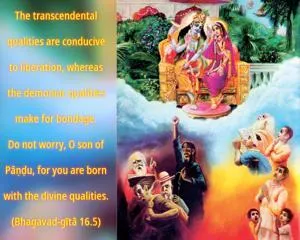 Bhagavad Gita 16.5.en - thumbnail size