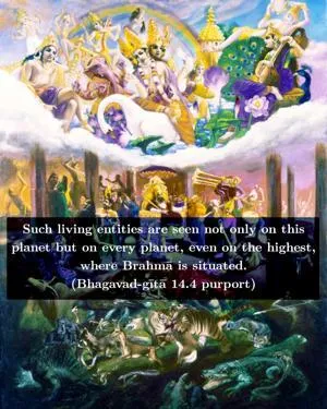 Purport to Bhagavad Gita 14 - thumbnail size