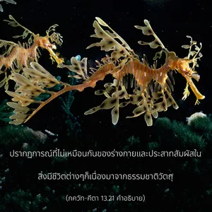 อรรถกถา ภขวัท-คีตา 13 - thumbnail size