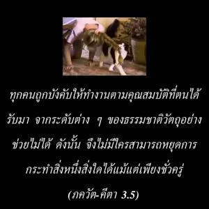 ภขวัท-คีตา 3.5.th - thumbnail size