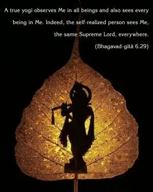 Bhagavad Gita 6.29.en - thumbnail size