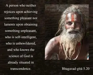 Bhagavad Gita 5.20.en - thumbnail size