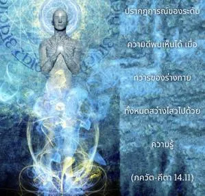 ภขวัท-คีตา 14.11 - thumbnail size