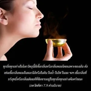 อรรถกถา ภขวัท-คีตา 7 - thumbnail size